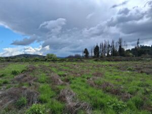 whatsapp image 2025 09 11 at 13.57.50 (1)