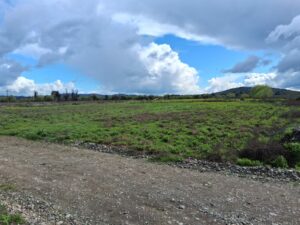 whatsapp image 2025 09 11 at 13.57.50 (2)