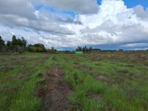 whatsapp image 2025 09 11 at 13.57.50