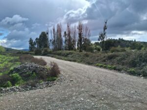 whatsapp image 2025 09 11 at 13.57.51